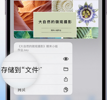 石棉apple维修中心分享iPhone文件应用中存储和找到下载文件