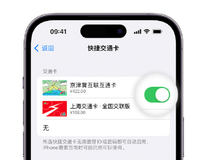 石棉apple维修点分享iPhone上更换Apple Pay快捷交通卡手绘卡面 