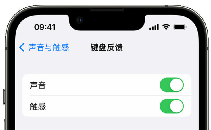 石棉苹果手机维修分享iPhone 14触感键盘使用方法 