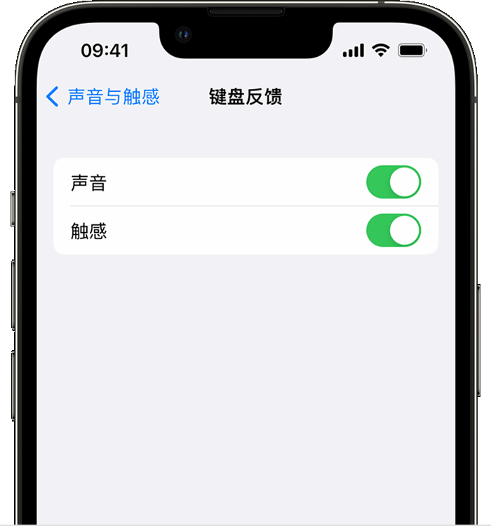 石棉苹果14维修店分享如何在 iPhone 14 机型中使用触感键盘 