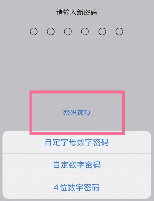 石棉苹果14维修分享iPhone 14plus设置密码的方法 