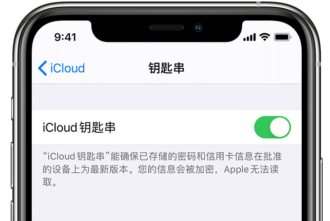 石棉苹果手机维修分享在 iPhone 上开启 iCloud 钥匙串之后会储存哪些信息 