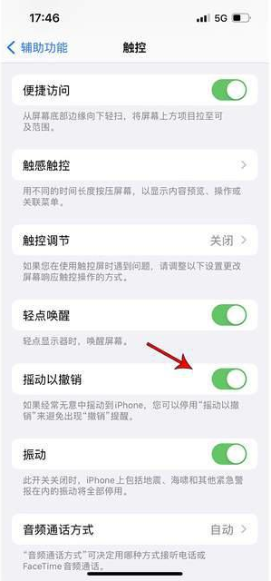 石棉苹果手机维修分享iPhone手机如何设置摇一摇删除文字 